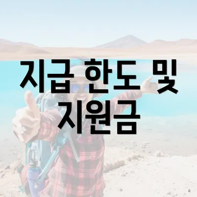 지급 한도 및 지원금