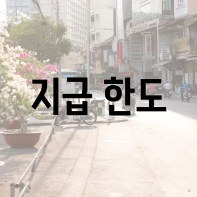지급 한도