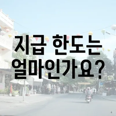 지급 한도는 얼마인가요?
