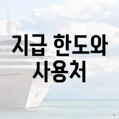 지급 한도와 사용처