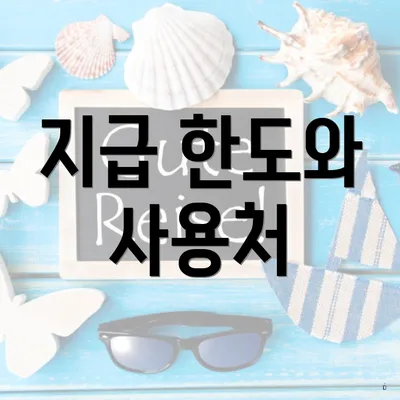 지급 한도와 사용처