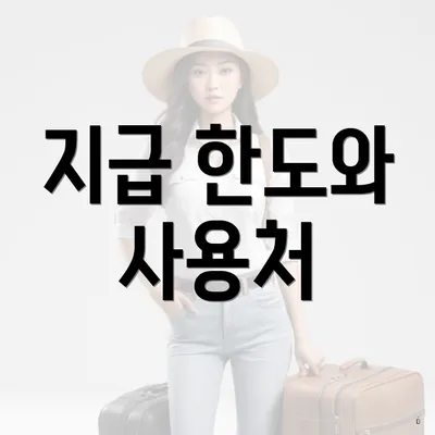 지급 한도와 사용처
