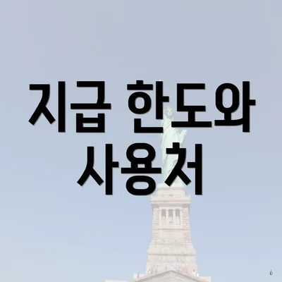 지급 한도와 사용처