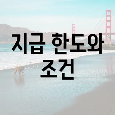 지급 한도와 조건