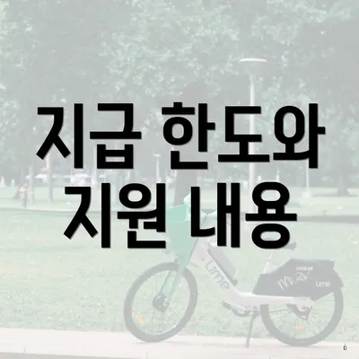 지급 한도와 지원 내용