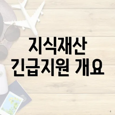 지식재산 긴급지원 개요