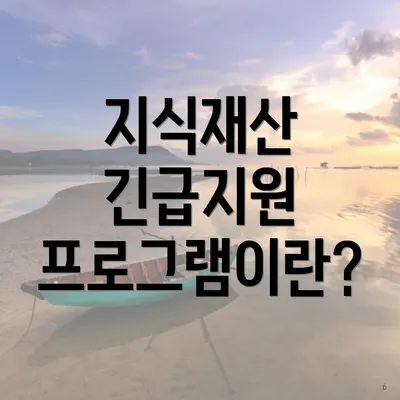 지식재산 긴급지원 프로그램이란?
