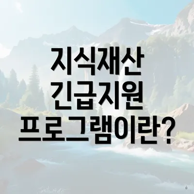 지식재산 긴급지원 프로그램이란?