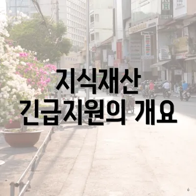 지식재산 긴급지원의 개요