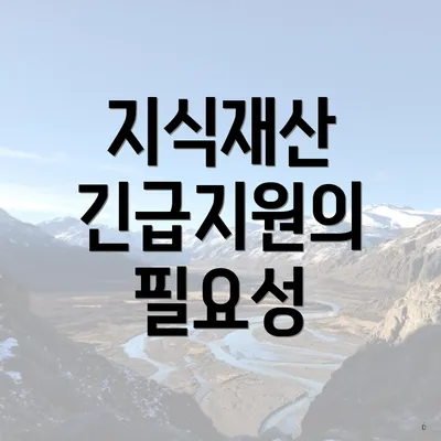 지식재산 긴급지원의 필요성