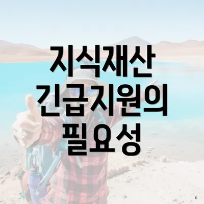 지식재산 긴급지원의 필요성
