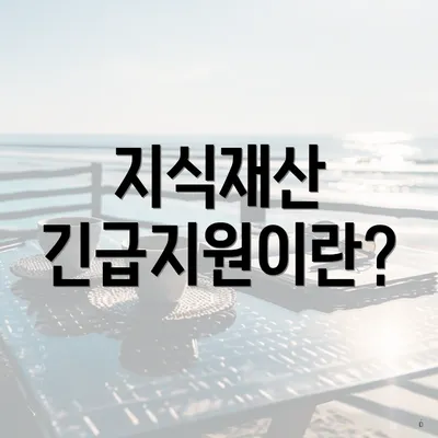 지식재산 긴급지원이란?