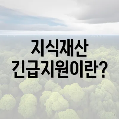 지식재산 긴급지원이란?