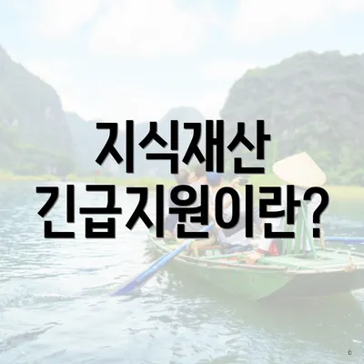 지식재산 긴급지원이란?