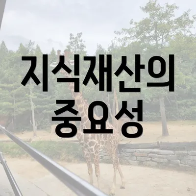 지식재산의 중요성
