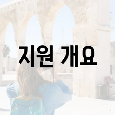 지원 개요
