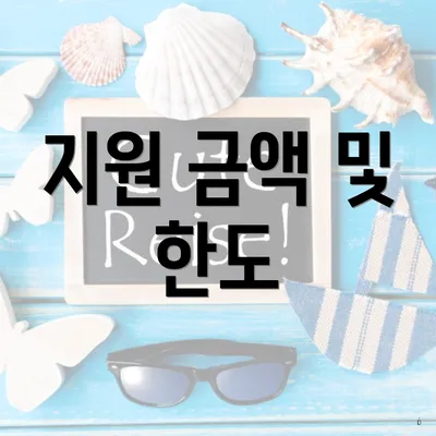 지원 금액 및 한도