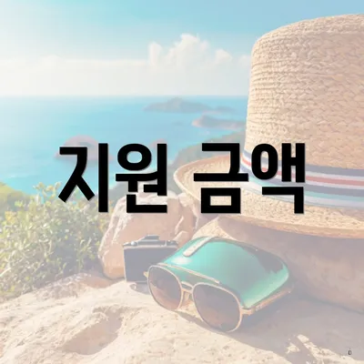 지원 금액