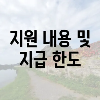 지원 내용 및 지급 한도