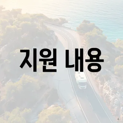 지원 내용