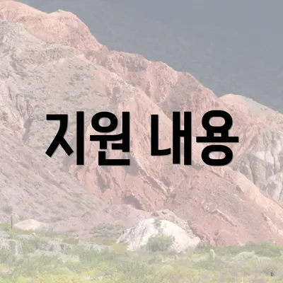 지원 내용