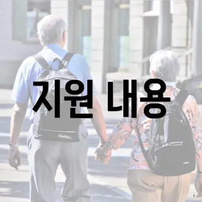 지원 내용