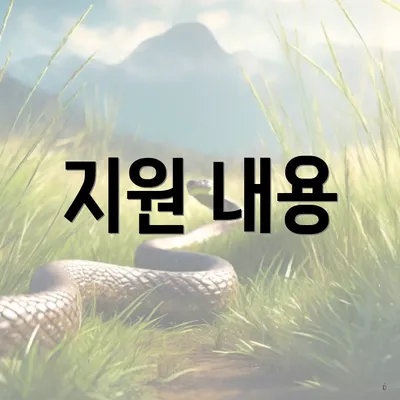 지원 내용