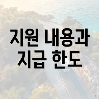 지원 내용과 지급 한도