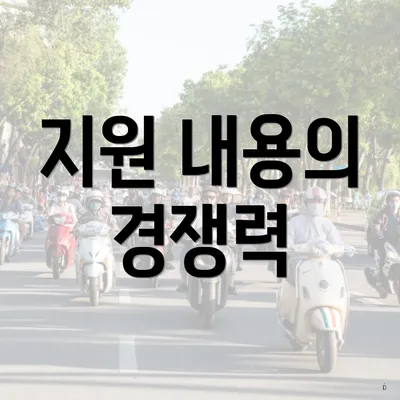 지원 내용의 경쟁력