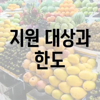 지원 대상과 한도