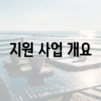 지원 사업 개요