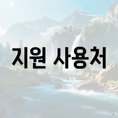 지원 사용처