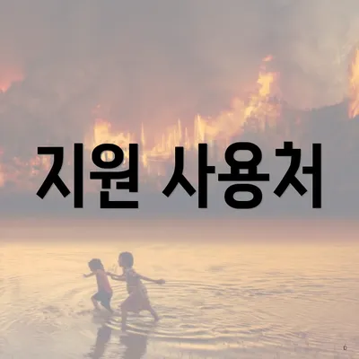 지원 사용처
