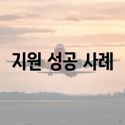 지원 성공 사례