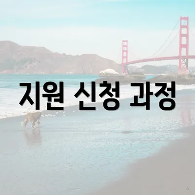 지원 신청 과정