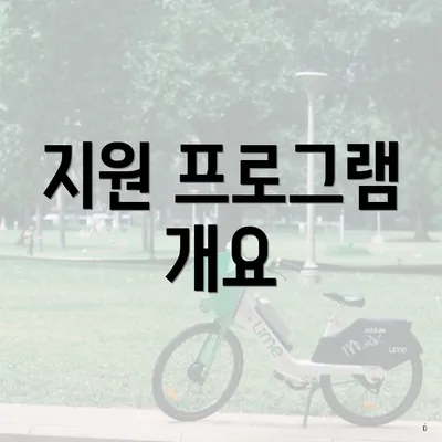 지원 프로그램 개요