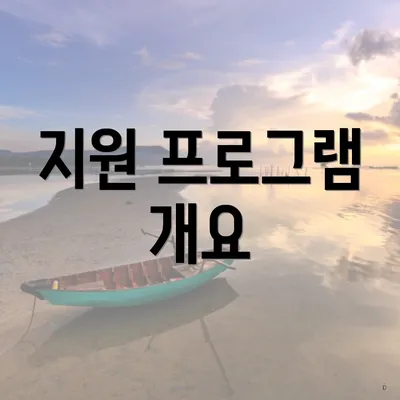 지원 프로그램 개요