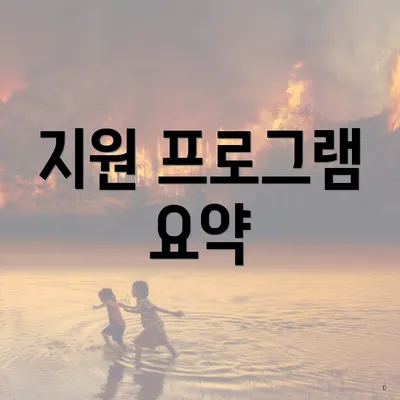 지원 프로그램 요약