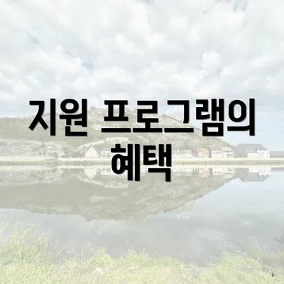 지원 프로그램의 혜택