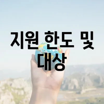지원 한도 및 대상