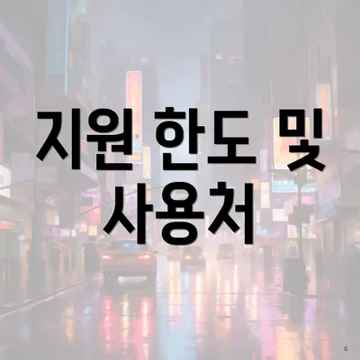 지원 한도 및 사용처
