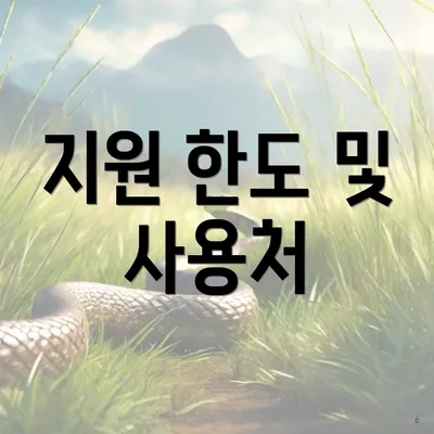 지원 한도 및 사용처