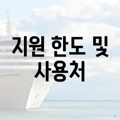 지원 한도 및 사용처
