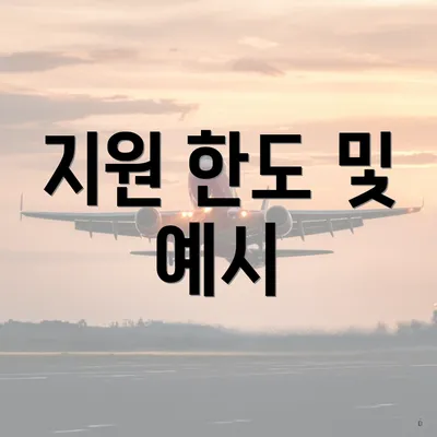 지원 한도 및 예시