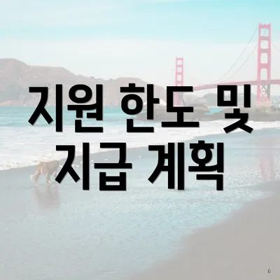 지원 한도 및 지급 계획