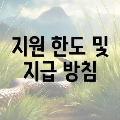 지원 한도 및 지급 방침