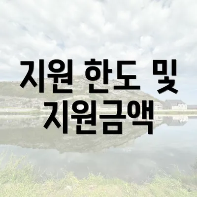 지원 한도 및 지원금액