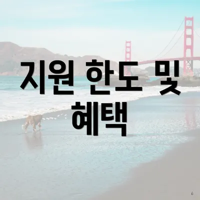 지원 한도 및 혜택