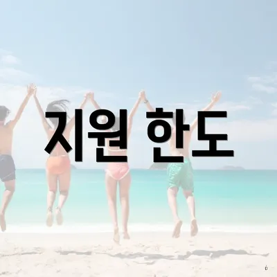 지원 한도