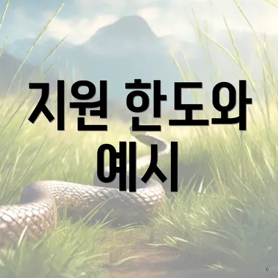 지원 한도와 예시